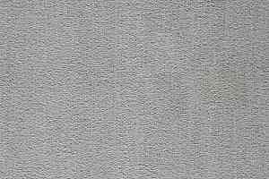 Ковролин Balta ITC President 90 фото  | FLOORDEALER