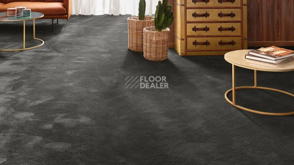 Vorwerk Exclusive 1060 Safira 9g21 фото 2 | FLOORDEALER