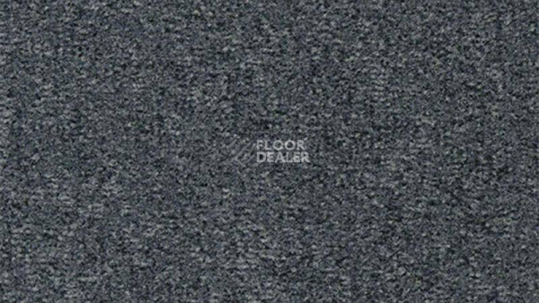 Ковролин Vorwerk Passion 1044 Vorwerk 5w32 фото 1 | FLOORDEALER