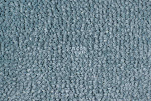 Ковролин Edel Vanity 151 фото 1 | FLOORDEALER