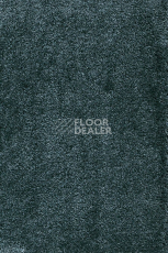 Ковролин AW Masquerade Fedone 28 фото 1 | FLOORDEALER