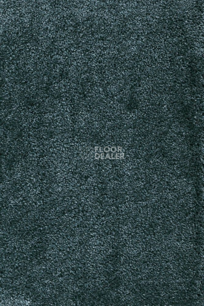 Ковролин AW Masquerade Fedone 28 фото 1 | FLOORDEALER