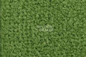 Balsan Les Best S 256 фото 2 | FLOORDEALER