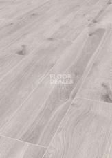 Ламинат Terhurne Dureco Classic Line 2803 / a04 Дуб Вельвет серый фото 1 | FLOORDEALER