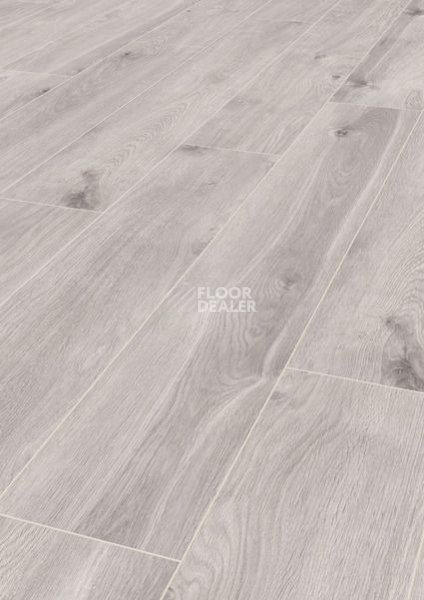 Ламинат Terhurne Dureco Classic Line 2803 / a04 Дуб Вельвет серый фото 1 | FLOORDEALER