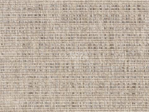 Ковролин Betula Betula 6335 68 фото 1 | FLOORDEALER