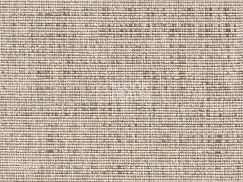 Ковролин Betula Betula 6335 68 фото 1 | FLOORDEALER