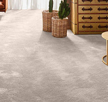 Vorwerk Exclusive 1060 Safira 8 h 73 фото 2 | FLOORDEALER