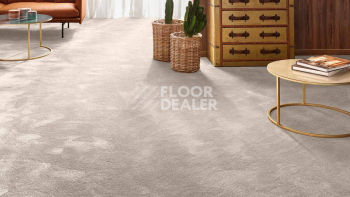 Vorwerk Exclusive 1060 Safira 8 h 73 фото 2 | FLOORDEALER