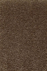 Ковролин AW Promenade 45 фото 1 | FLOORDEALER