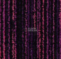 Ковровая плитка Coral Welcome 3219 Colour Purple фото 1 | FLOORDEALER