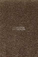 Ковролин AW Promenade 45 фото 1 | FLOORDEALER