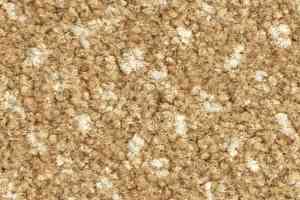 Ковролин Balsan Capitol Capitol 310 фото  | FLOORDEALER