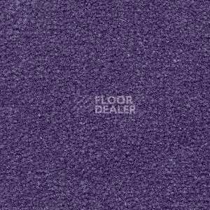 Ковролин Radici Montecarlo 78 фото 1 | FLOORDEALER