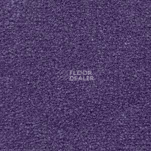 Ковролин Radici Montecarlo 78 фото 1 | FLOORDEALER