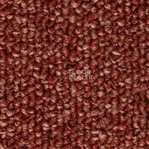 Ковролин Infloor Compact 143 фото 1 | FLOORDEALER