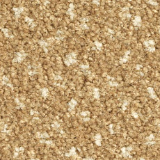 Ковролин Balsan Capitol Capitol 310 фото 1 | FLOORDEALER