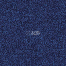 Ковровая плитка Balsan Serenite Sonic Confort 181 фото 1 | FLOORDEALER