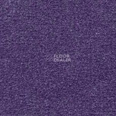 Ковролин Radici Montecarlo 78 фото 1 | FLOORDEALER