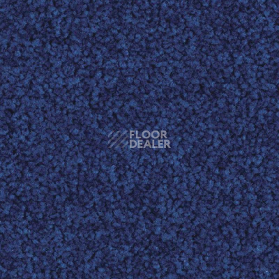 Ковровая плитка Balsan Serenite Sonic Confort 181 фото 1 | FLOORDEALER