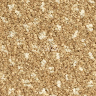 Ковролин Balsan Capitol Capitol 310 фото 1 | FLOORDEALER