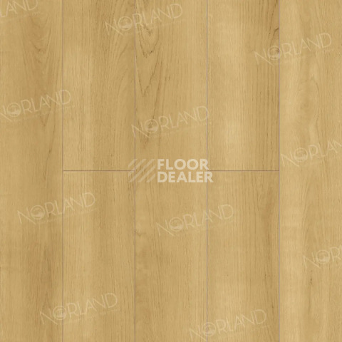 Ламинат Norland Elegant 8мм Дуб Лузон LF301-06 фото 1 | FLOORDEALER