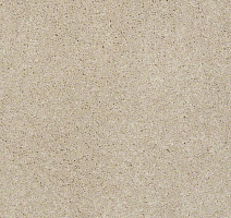 Ковролин Shaw Design Texture Platinum 103 фото 1 | FLOORDEALER