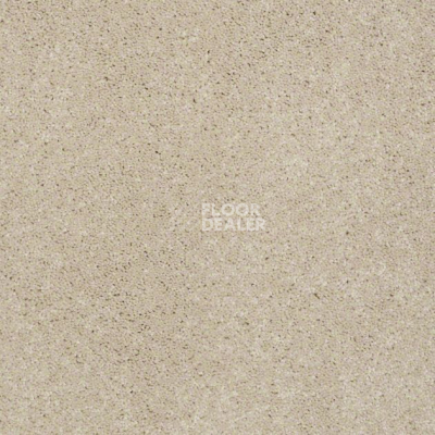 Ковролин Shaw Design Texture Platinum 103 фото 1 | FLOORDEALER