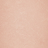 Линолеум Novoflor Extra Sparkle 2440-4 фото 1 | FLOORDEALER