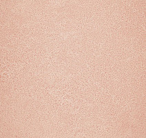 Линолеум Novoflor Extra Sparkle 2440-4 фото 1 | FLOORDEALER