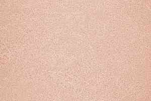 Линолеум Novoflor Extra Sparkle 2440-4 фото  | FLOORDEALER