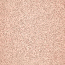 Линолеум Novoflor Extra Sparkle 2440-4 фото 1 | FLOORDEALER