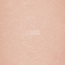 Линолеум Novoflor Extra Sparkle 2440-4 фото 1 | FLOORDEALER