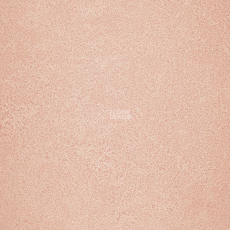 Novoflor Extra Sparkle 2440-4 фото 1 | FLOORDEALER