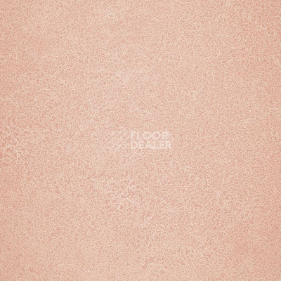 Линолеум Novoflor Extra Sparkle 2440-4 фото 1 | FLOORDEALER