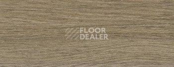 Плинтус Dollken EP 60/13 2571 фото 2 | FLOORDEALER
