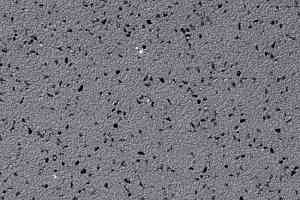 Линолеум Grabo Acoustic 6 1855_05_228 фото  | FLOORDEALER