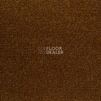 Ковролин Associated Weavers Continental 44 фото 1 | FLOORDEALER