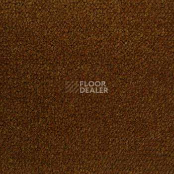Ковролин Associated Weavers Continental 44 фото 1 | FLOORDEALER