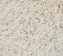 Искусственная трава Деко Цветная 20мм Белый фото 1 | FLOORDEALER