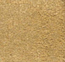 Ковролин Emphatic Beaulieu of America 56147 фото 1 | FLOORDEALER