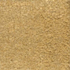 Emphatic Beaulieu of America 56147 фото 1 | FLOORDEALER