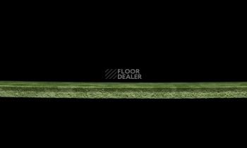 Tarkett iq Melodia 2639 фото 4 | FLOORDEALER