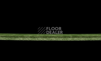 Tarkett iq Melodia 2639 фото 4 | FLOORDEALER