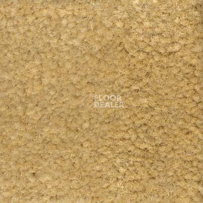 Ковролин Emphatic Beaulieu of America 56147 фото 1 | FLOORDEALER