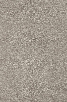 Ковролин AW Invictus Romelus 49 фото 1 | FLOORDEALER