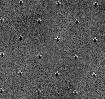 Ковролин Balta ITC Palace New 97 фото 1 | FLOORDEALER