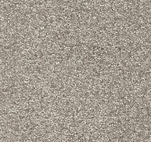 Ковролин AW Invictus Romelus 49 фото 1 | FLOORDEALER