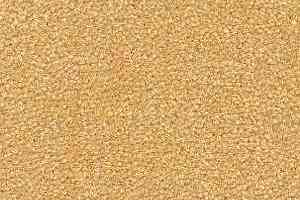 Ковролин Radici Montecarlo 15 фото  | FLOORDEALER