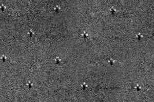 Ковролин Balta ITC Palace New 97 фото  | FLOORDEALER